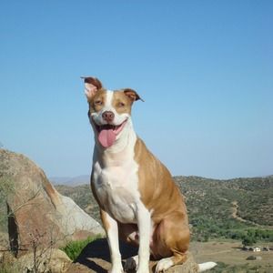 Meet your Posher, Ray